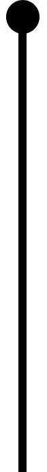 Cibo Vita Timeline